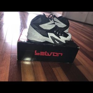 Nike Zoom LeBron Soldier 8